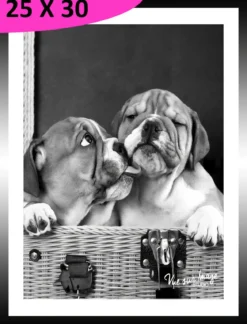 TABLEAU BAGUETTE NOIRE CHIOTS 25X30CM