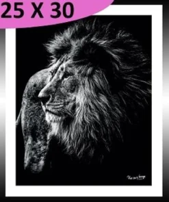 TABLEAU 25 CM X 30 CM BAGUETTE NOIRE  LION