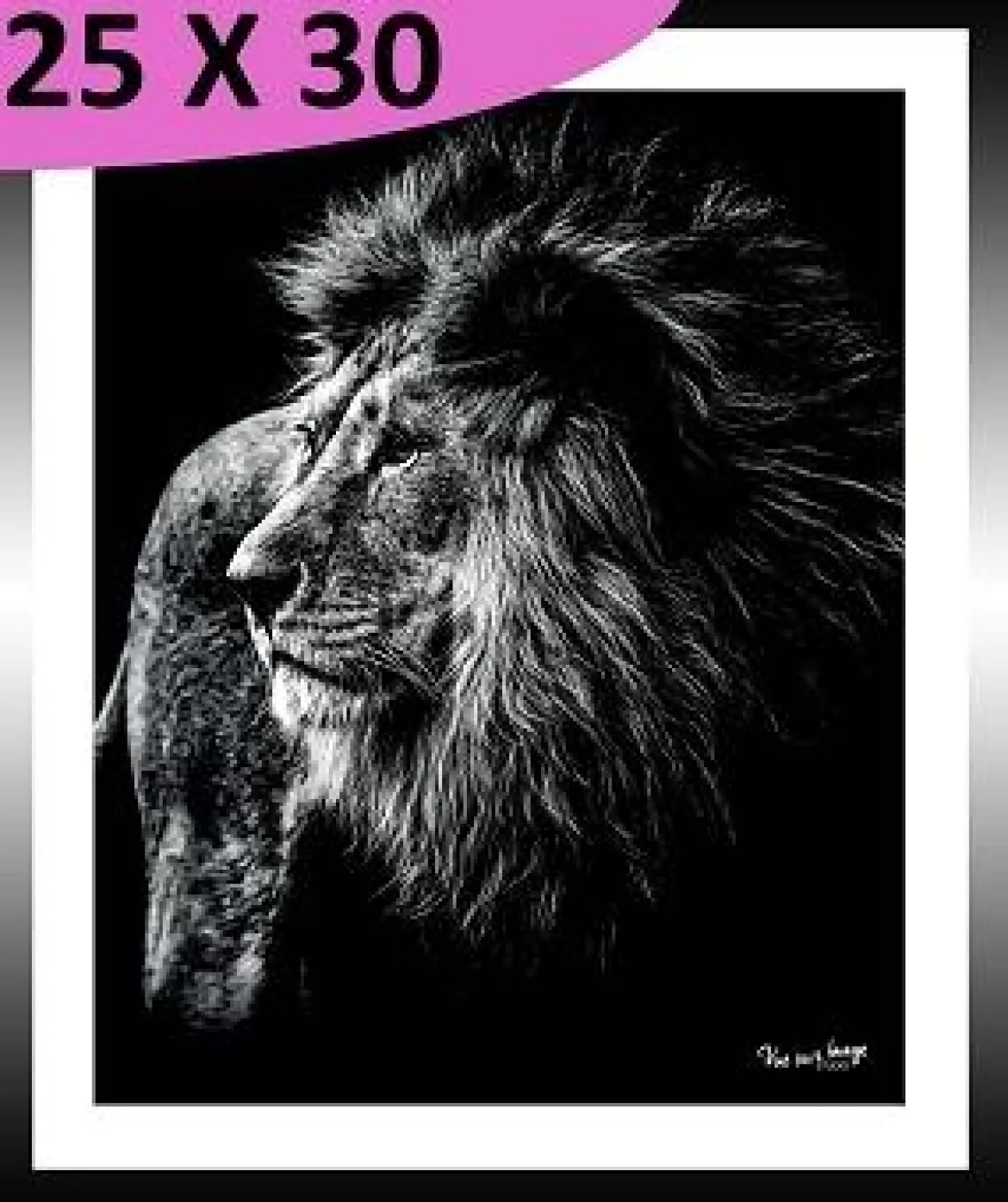 TABLEAU 25 CM X 30 CM BAGUETTE NOIRE LION