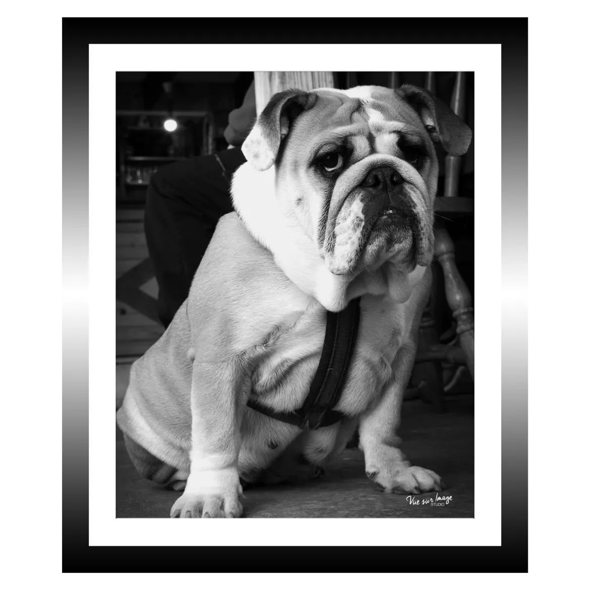 TABLEAU 25X30CM BAGUETTE NOIRE BULLDOG