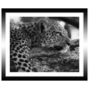 TABLEAU 30X25CM BAGUETTE NOIRE GUEPARD