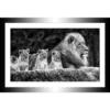 TABLEAU 30X20CM BAGUETTE NOIRE LIONS