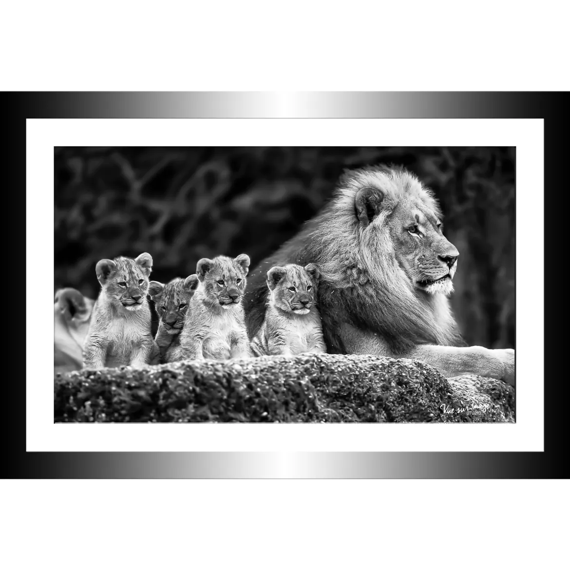 TABLEAU 30X20CM BAGUETTE NOIRE LIONS
