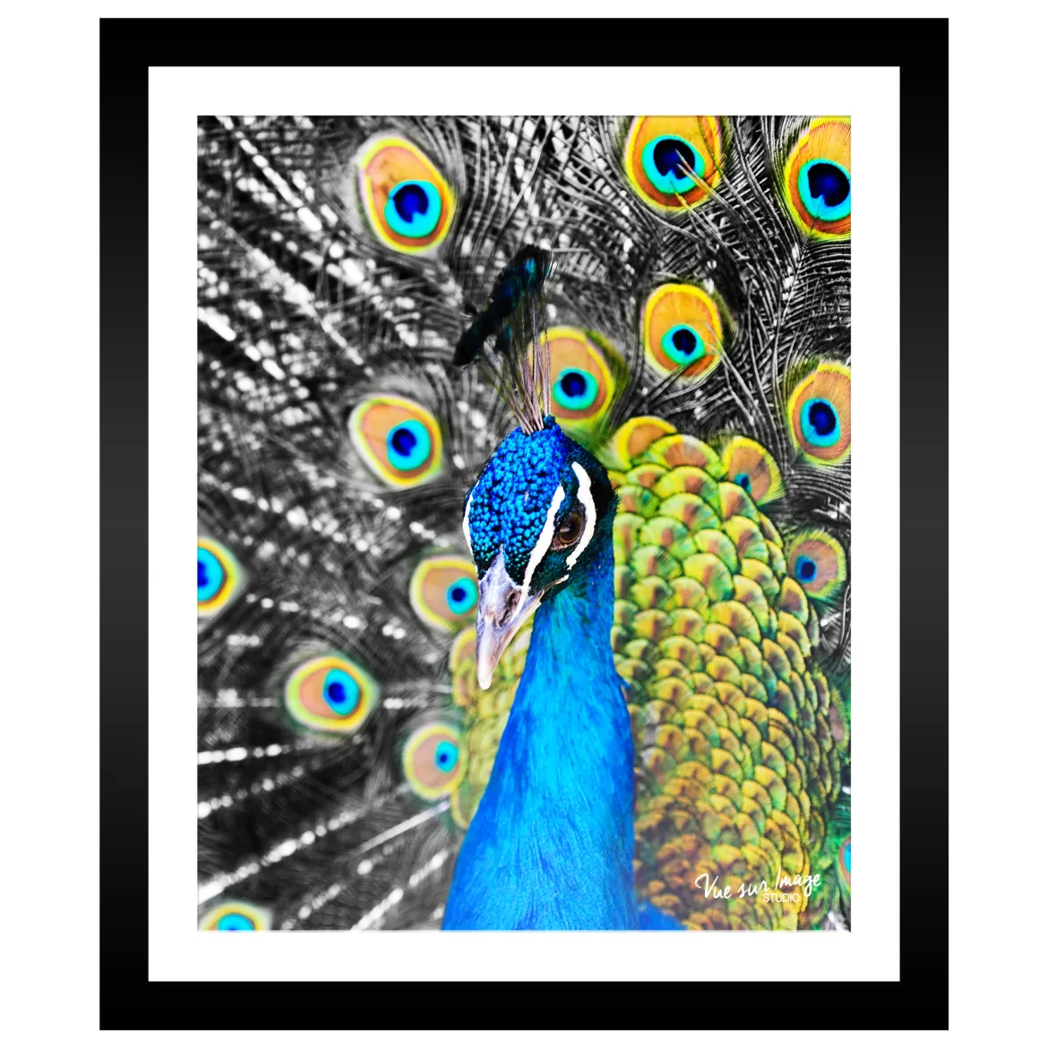 TABLEAU 25X30CM BAGUETTE NOIRE MAT PAON