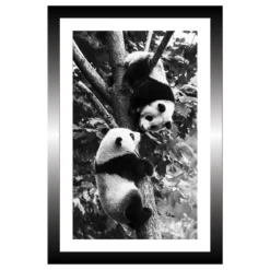 TABLEAU 20X30CM BAGUETTE NOIRE PANDA
