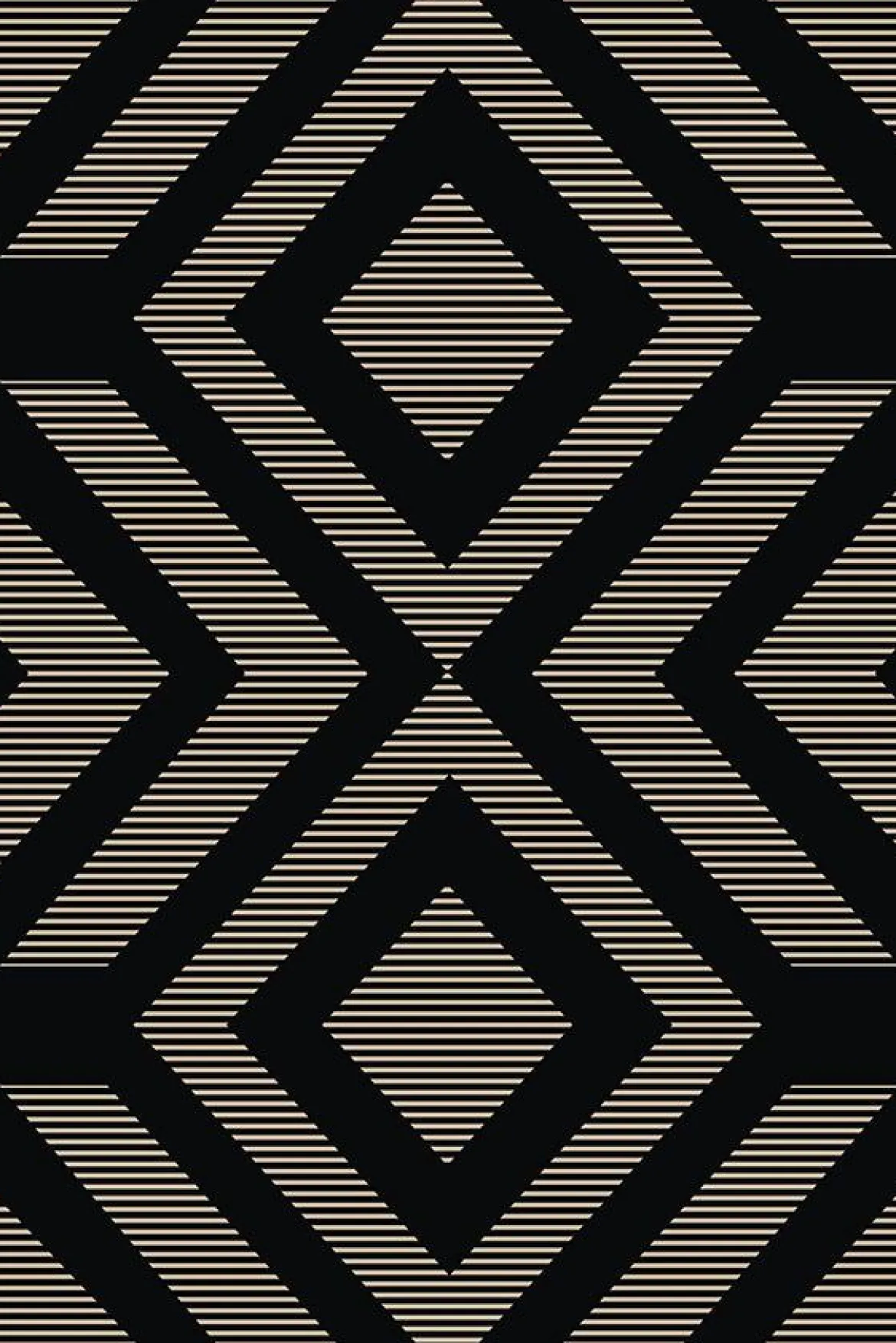 TAPIS EXTERIEUR INTERIEUR 100X150CM KNOX NOIR