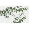 TAPIS RECTANGLE 45X75CM IMPRIME STEVIA