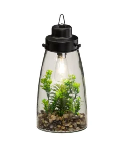 TERRARIUM AMPOULE PLANTE H.31CM