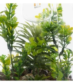 TERRARIUM AMPOULE PLANTE H.31CM