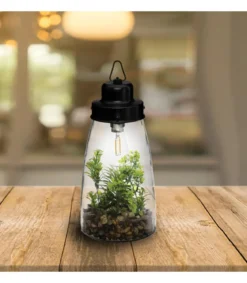 TERRARIUM AMPOULE PLANTE H.31CM