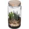 TERRARIUM COUVERCLE BOIS D.11X22CM
