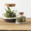 TERRARIUM H.21.5CM