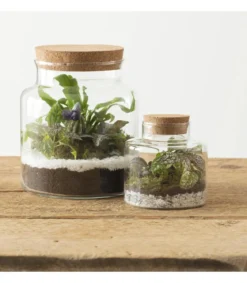 TERRARIUM H.21.5CM
