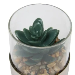 TERRARIUM PLANTE SKY H.8.5CM