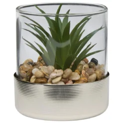 TERRARIUM PLANTE SKY H.8.5CM