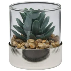 TERRARIUM PLANTE SKY H.8.5CM