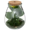 TERRARIUM VERRE BOTANIC H.29.5CM