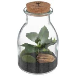 TERRARIUM VERRE BOTANIC H.19CM