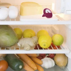 THERMOMETRE DE FRIGO AIMANTE