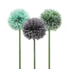 TIGE ALLIUM H.62CM