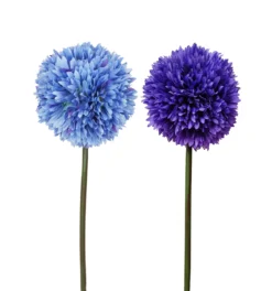 TIGE ALLIUM H.63CM BLEU