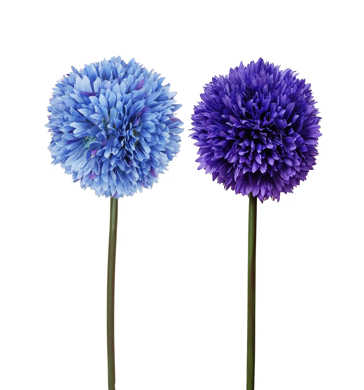 TIGE ALLIUM H.63CM BLEU