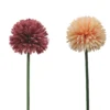 TIGE ALLIUM H.62CM CHARME
