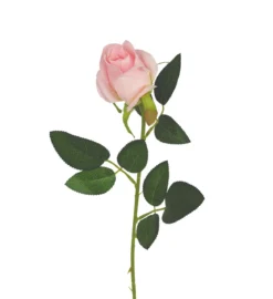 TIGE BOUTON ROSE H.63CM ROSE