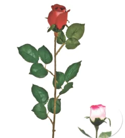 TIGE BOUTON ROSE H77CM ROSE