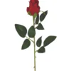 TIGE BOUTON ROSE H.63CM ROUGE
