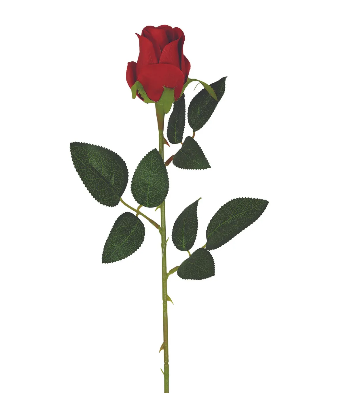 TIGE BOUTON ROSE H.63CM ROUGE