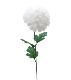 TIGE CHRYSANTHEME H.68CM BLANC