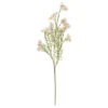 TIGE COSMOS PHOEBE H.62CM