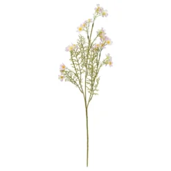 TIGE COSMOS PHOEBE H.62CM
