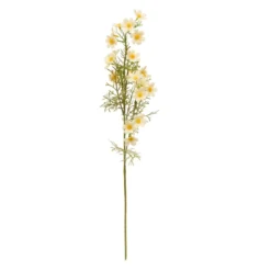 TIGE COSMOS PHOEBE H.62CM