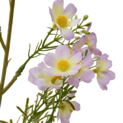 TIGE COSMOS PHOEBE H.62CM
