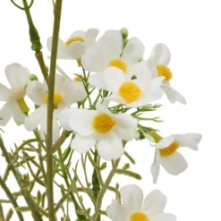TIGE COSMOS PHOEBE H.62CM