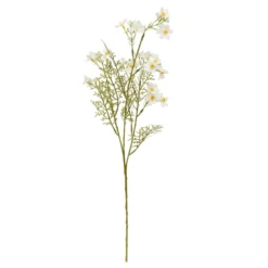 TIGE COSMOS PHOEBE H.62CM