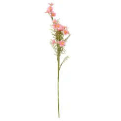 TIGE COSMOS PHOEBE H.62CM