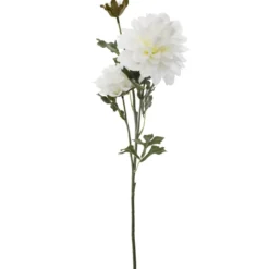 TIGE DAHLIA ILYS BLANC H.62CM