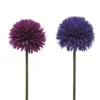 TIGE D ALLIUM D.15CM H.62CM