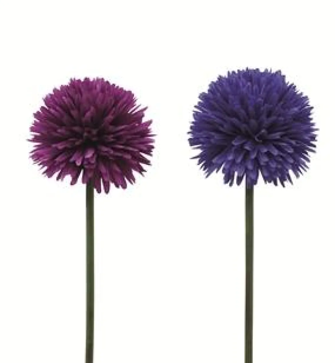 TIGE D ALLIUM D.15CM H.62CM