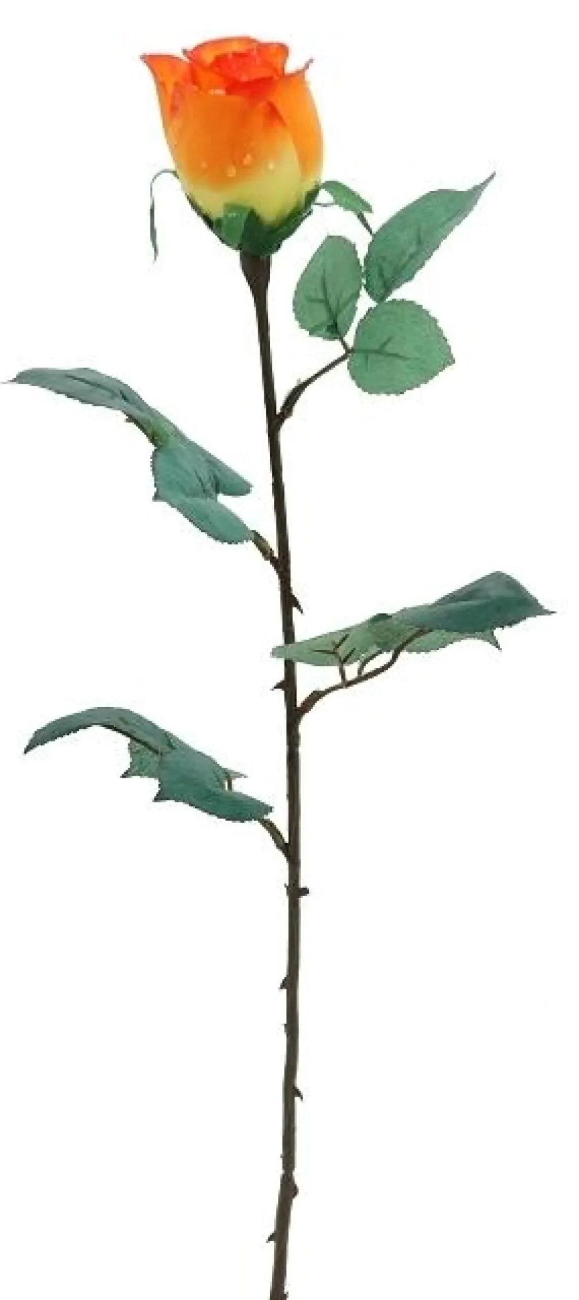 TIGE DE BOUTON DE ROSE H.77CM SAUMON