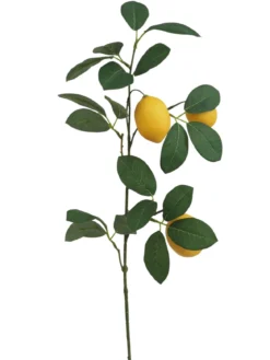 TIGE DE CITRONNIER 3 CITRONS H72CM