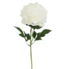 TIGE DE PIVOINE H63CM BLANC
