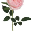 TIGE DE PIVOINE H63CM ROSE