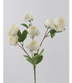 TIGE DE PIVOINES X7 FLEURS D5CM H74CM BLANC
