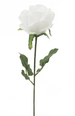 TIGE DE ROSE H.72CM BLANC