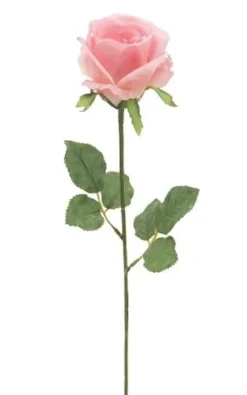 TIGE DE ROSE H.72CM ROSE