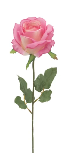 TIGE DE ROSE H72CM 2 TONS DE ROSE